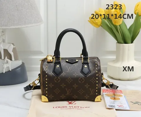 Louis Vuitton Handbags