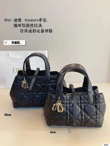 Dior Handbag