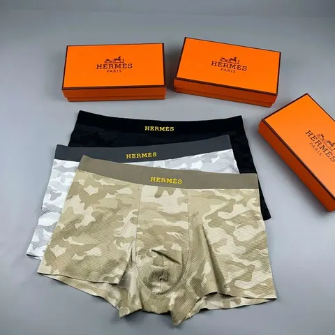 Hermès Underwear