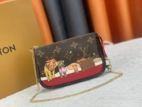 Louis Vuitton Bag