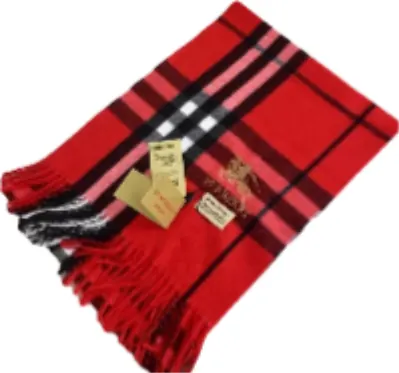 Burberry Scarf