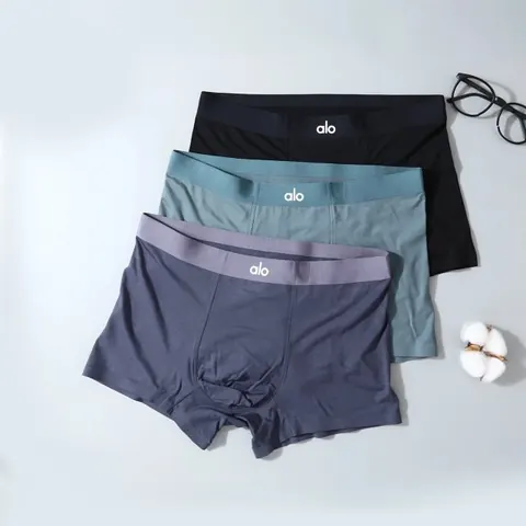 Alo Underwear