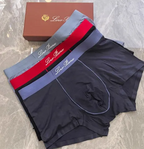 Loro Piana Underwear