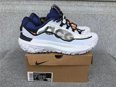 Nike ACG Mountain Fly Sneakers