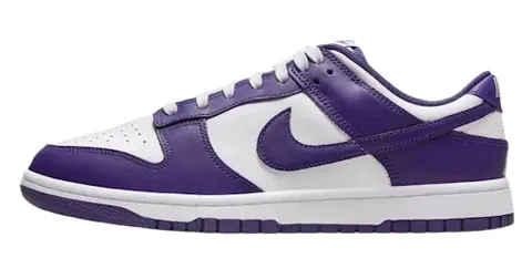 Nike Dunk Court Purple
