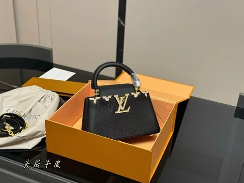 Louis Vuitton Handbag
