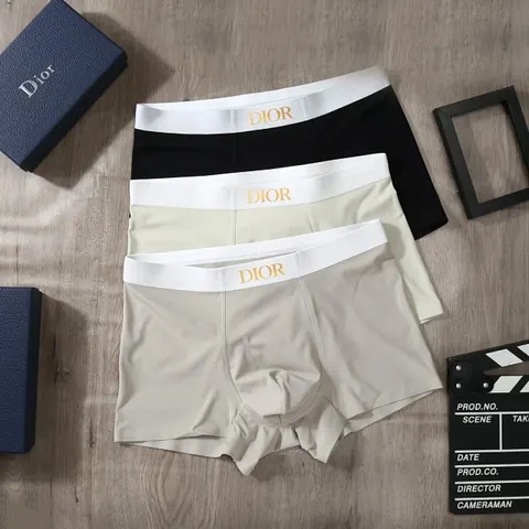 DIOR Underwear