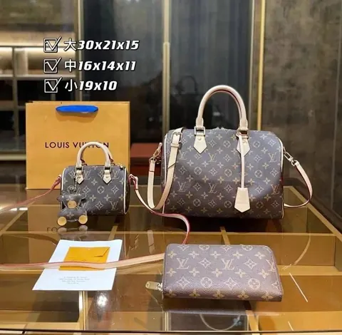 Louis Vuitton Handbag Bag