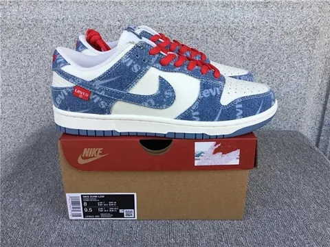 Nike Dunk Shoes