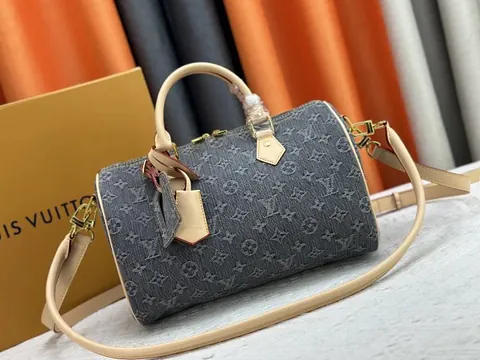 Louis Vuitton Handbags