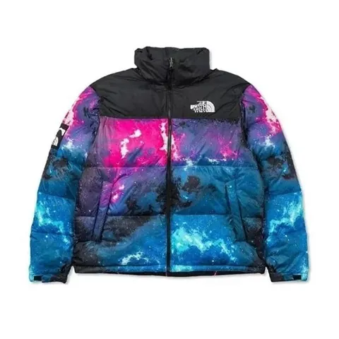The North Face Budget 1996 Retro Puffer Jacket