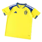 2026 Sweden Fan Version Jersey
