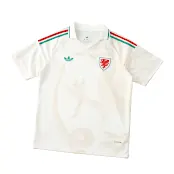 2026 Wales Fan Version Away Jersey