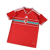 2026 Wales Fan Version Jersey