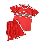 2026 Wales Kids Fan Version Kit