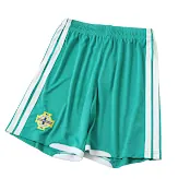 2026 Northern Ireland Player Version Shorts